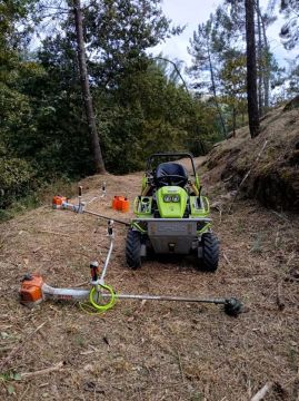 Bosquemocionante - Marco de Canaveses - Property Cleanup