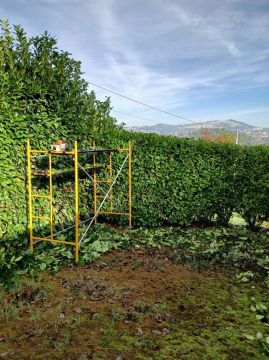 Bosquemocionante - Marco de Canaveses - Land Clearance