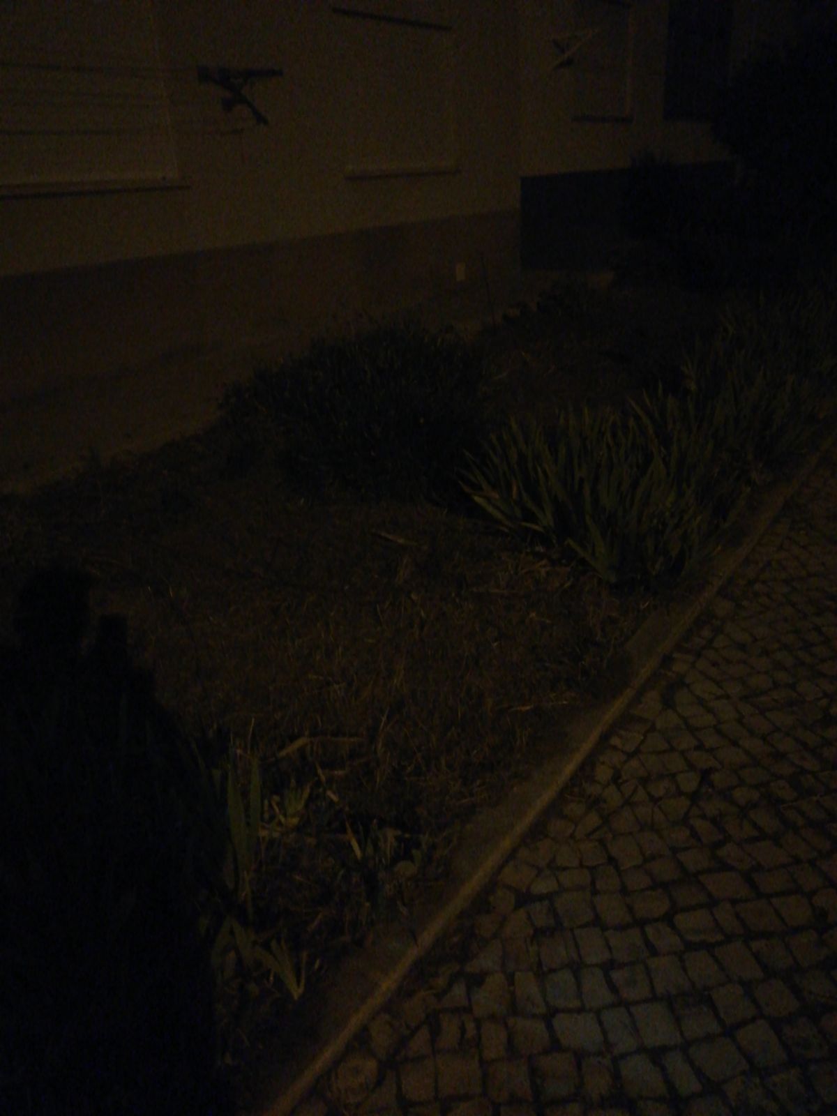 Luis miguel - Leiria - Exterior Painting