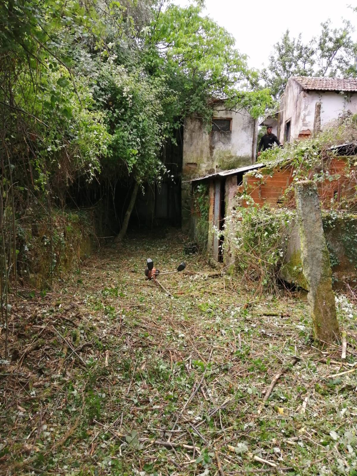 Quinta do FOIJO. Miguel Oliveira - Viseu - Entfernung von Gebüsch- und Baumaufwuchs