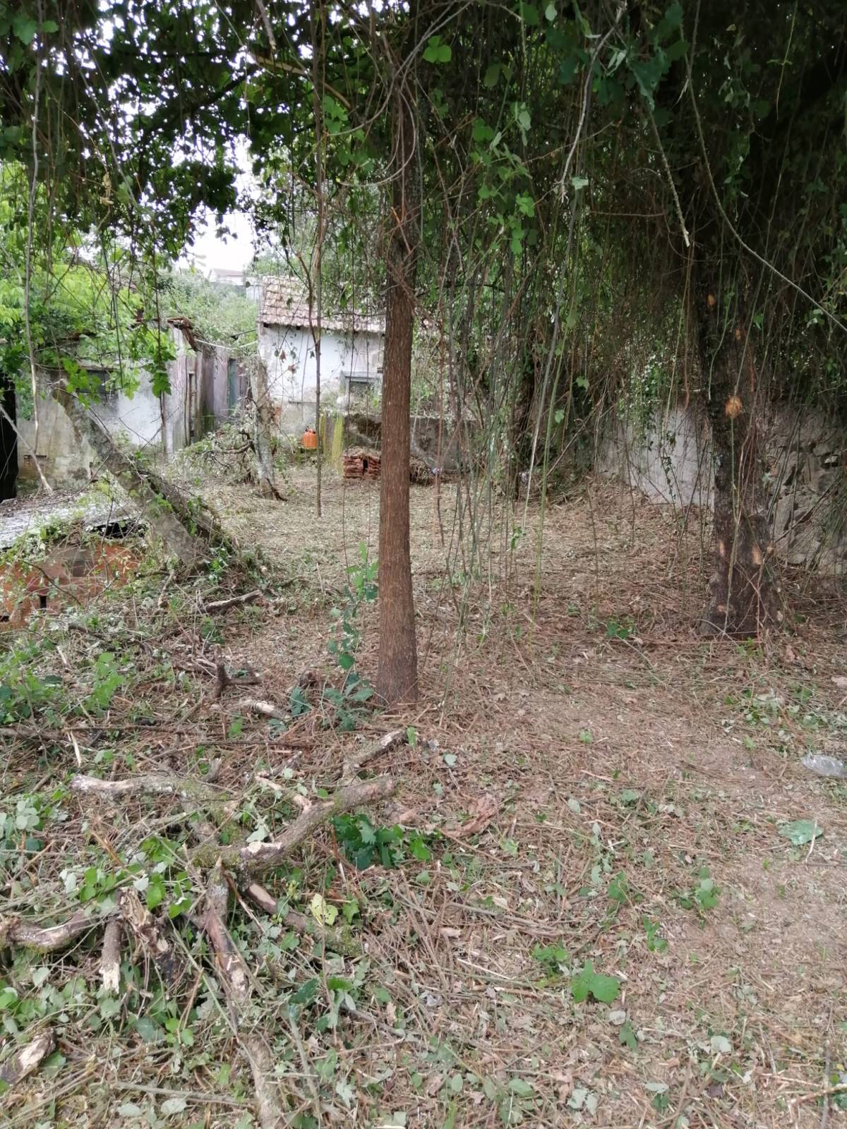Quinta do FOIJO. Miguel Oliveira - Viseu - Kunstrasen verlegen