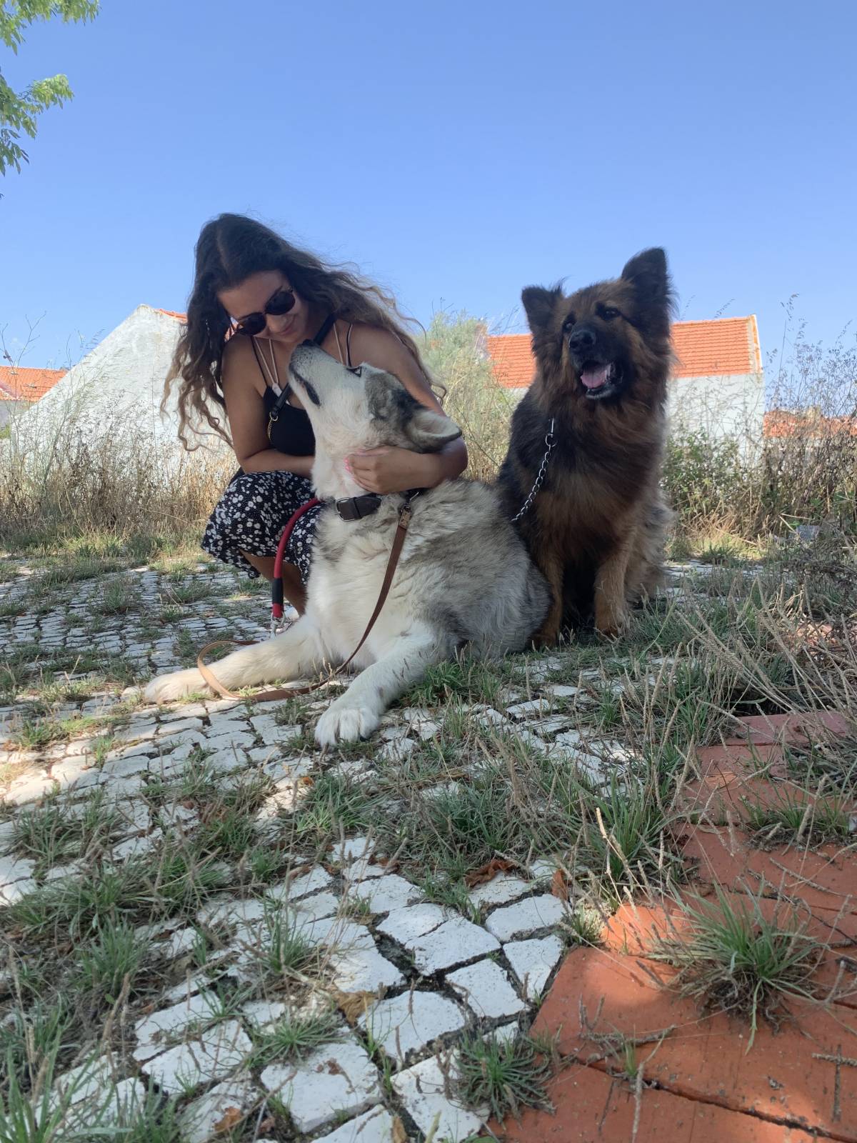 Yourfavoritepetsitter - Almada - Pet Sitting