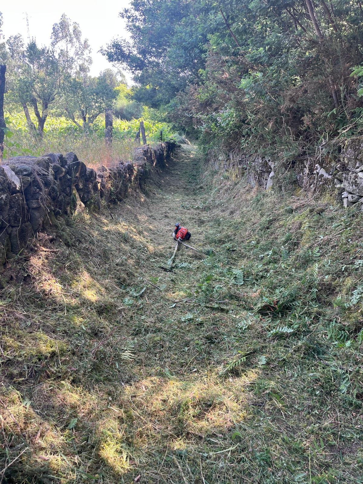 Quinta do FOIJO. Miguel Oliveira - Viseu - Felsen- und Steingarten anlegen