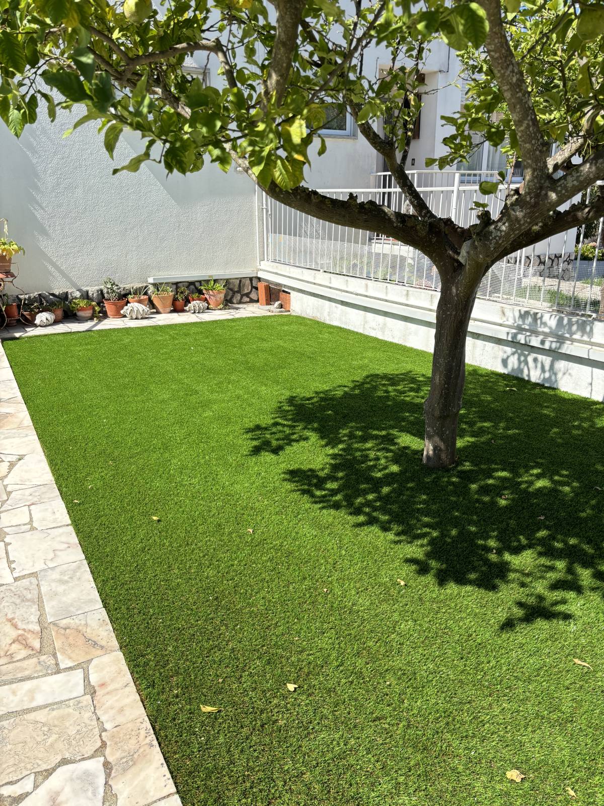 Belo jardim - Almada - Baumpflege