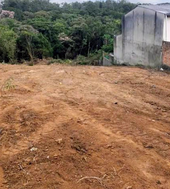 Daniel Silva Ferreira - Vila Nova de Gaia - Eliminación de arbustos