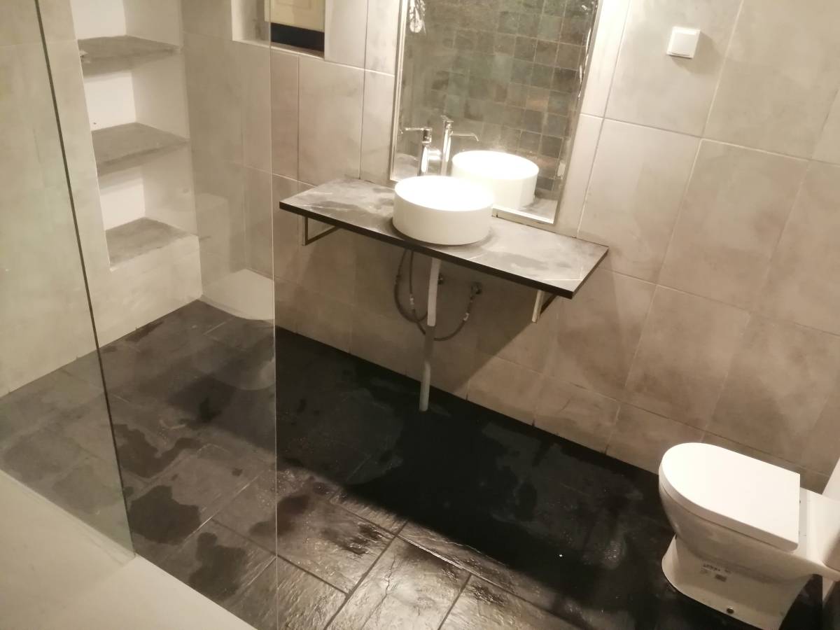 EloCriativo - Setúbal - Controlo de Pragas