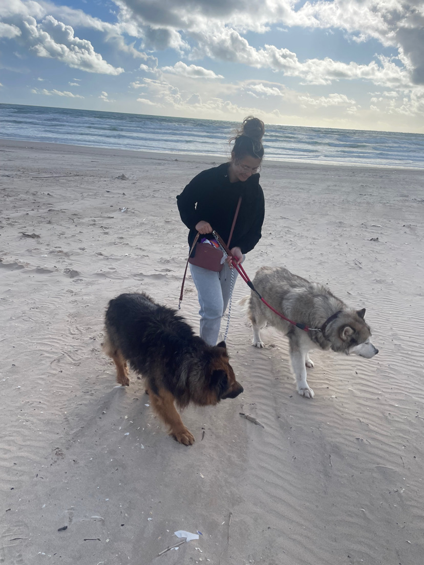 Yourfavoritepetsitter - Almada - Dog Sitting