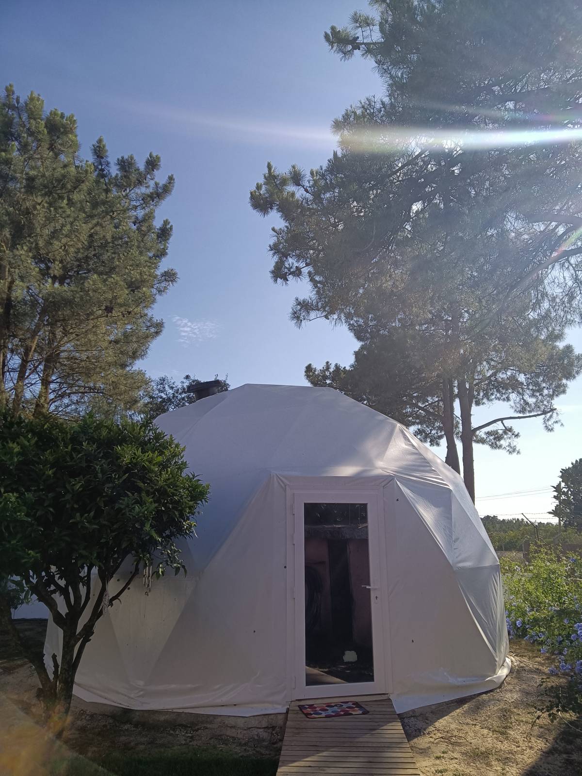 Yoga Dome Healing Hub - Setúbal - Meditation Instruction