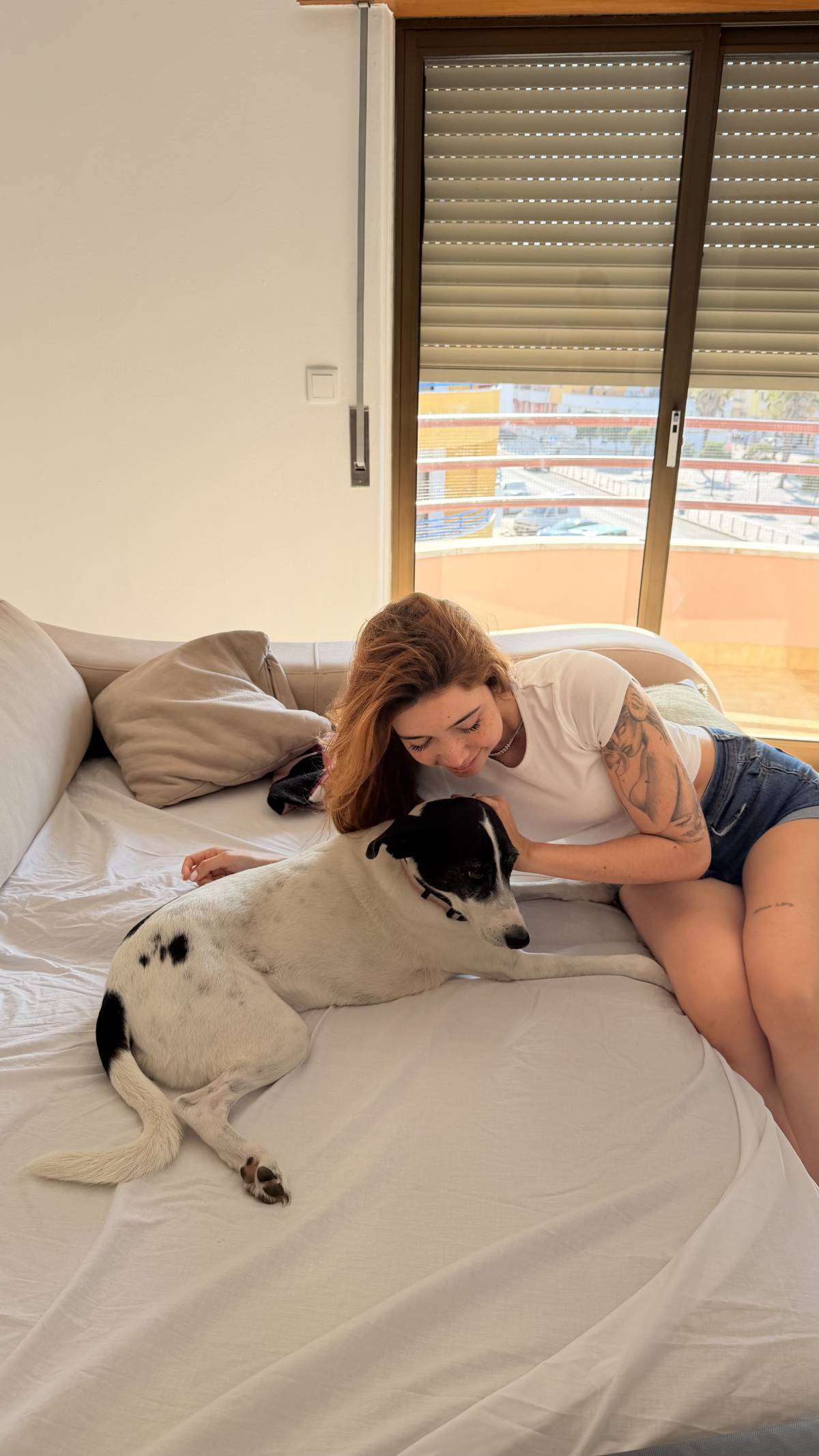 Com carinho, Jack - Almada - Dog Daycare