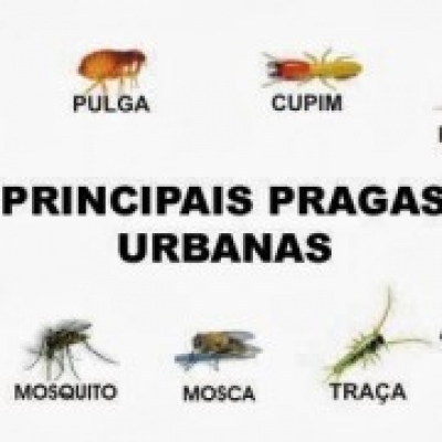 JControl - Santa Maria da Feira - Animal and Rodent Removal