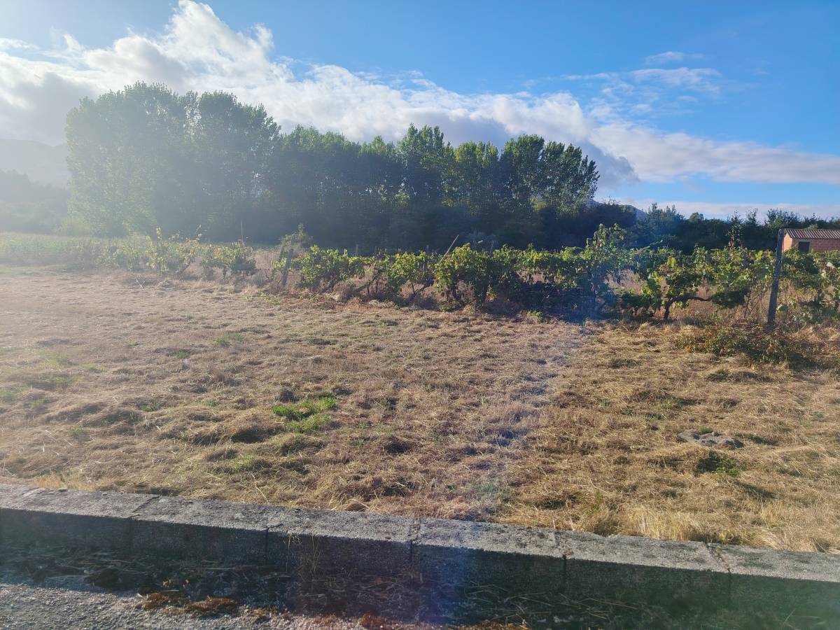 Quinta do FOIJO. Miguel Oliveira - Viseu - Gelände planieren (Großflächig)