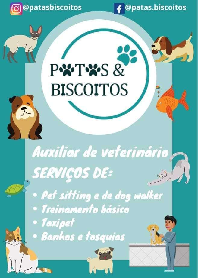 Patas&biscoitos - Tomar - Treino de Cães - Aulas