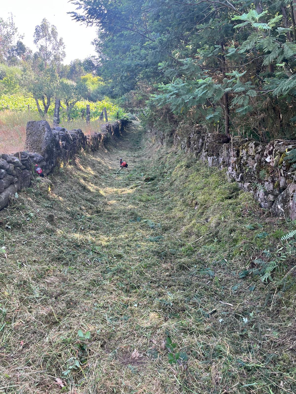 Quinta do FOIJO. Miguel Oliveira - Viseu - Landschaftsbau