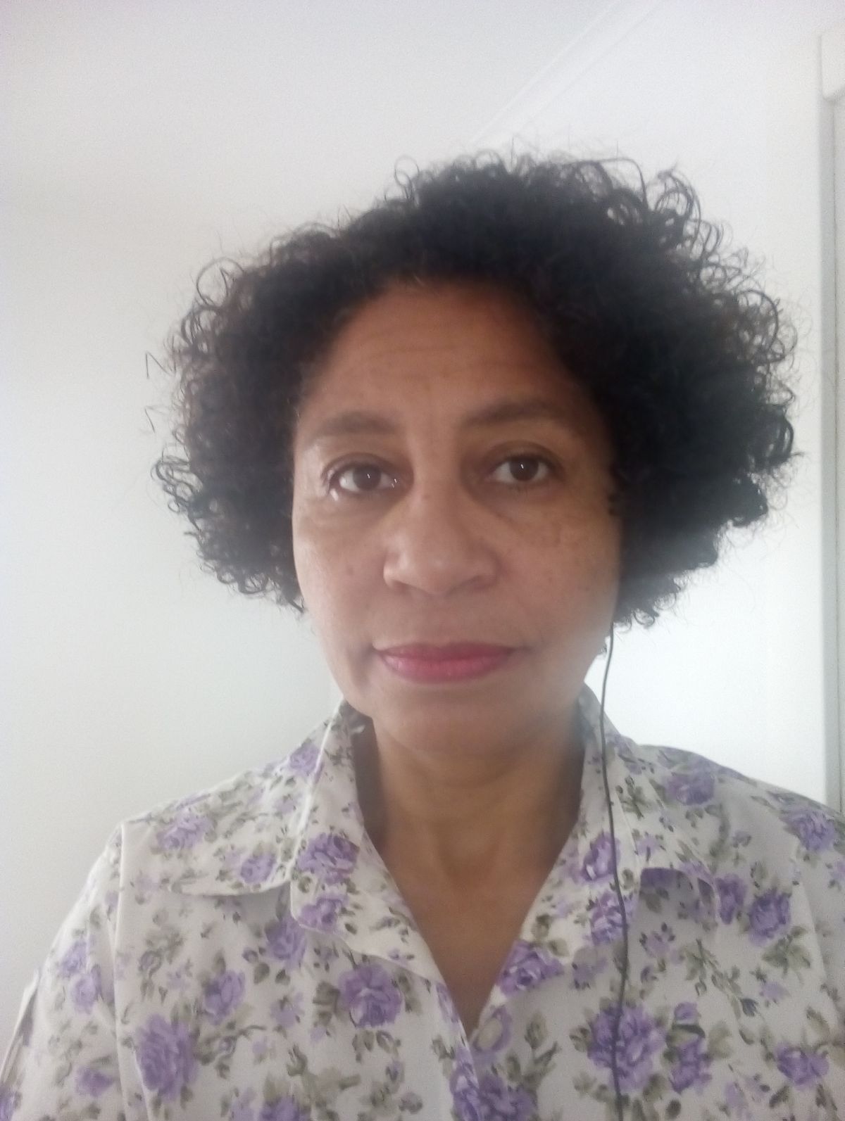 Rosemary vazenzella - Oliveira do Bairro - Windows Cleaning
