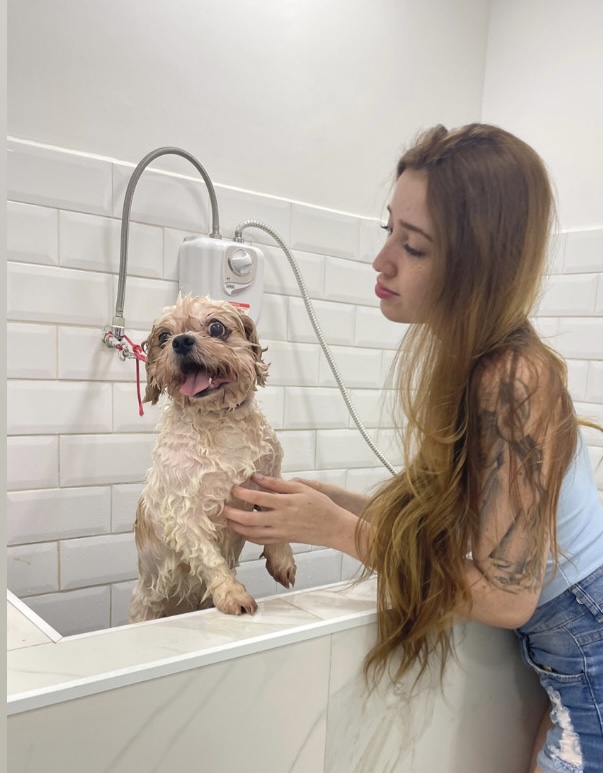 Com carinho, Jack - Almada - Dog Hotel