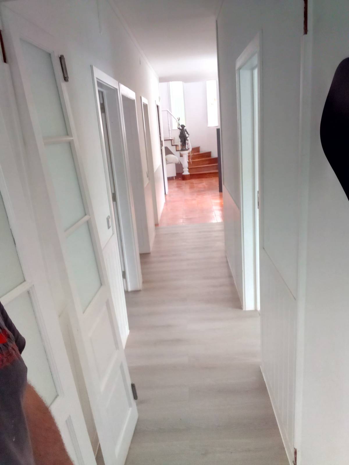 EloCriativo - Setúbal - Remoção de Tronco de Árvore