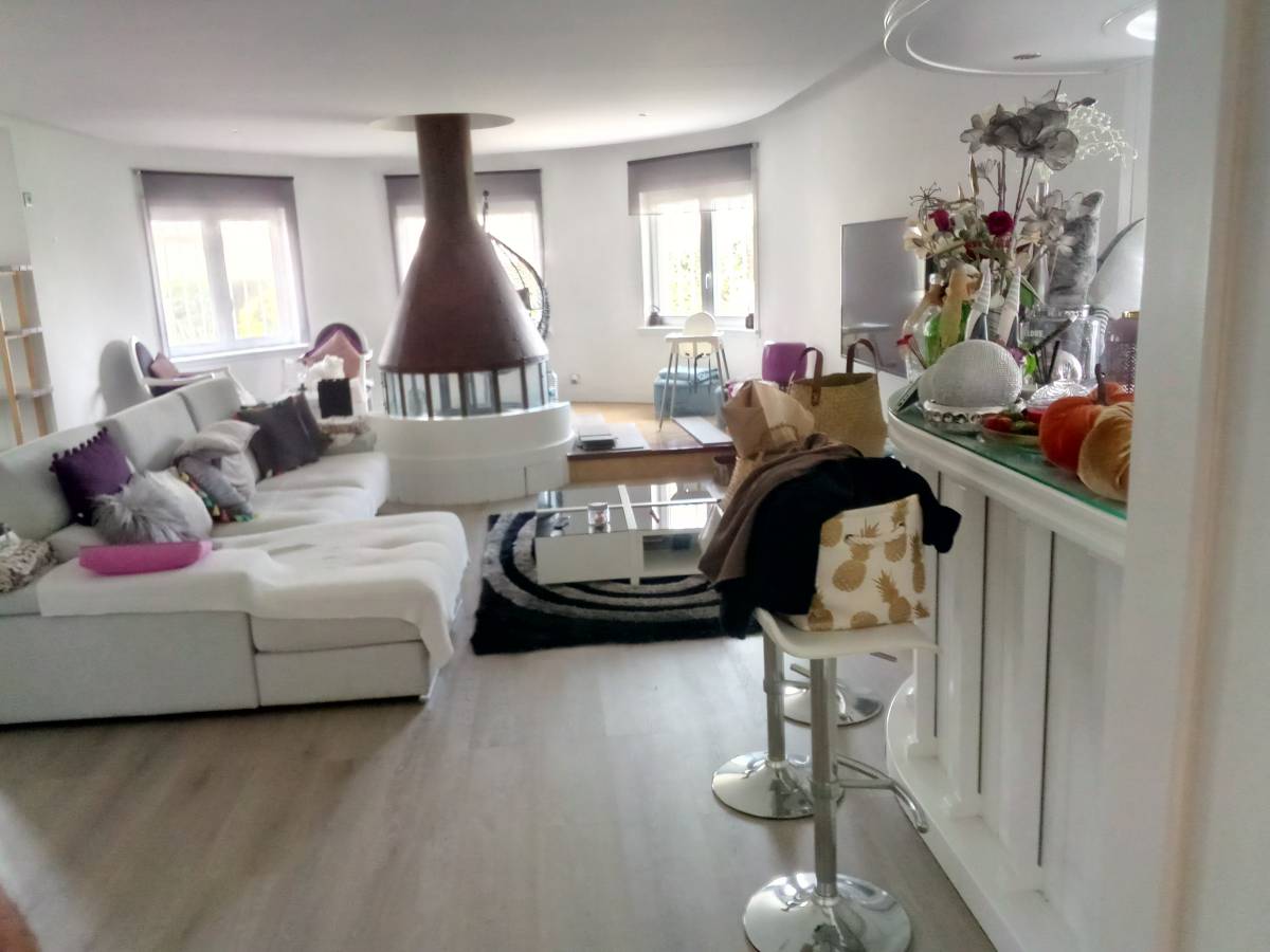 EloCriativo - Setúbal - Poda e Manutenção de Árvores