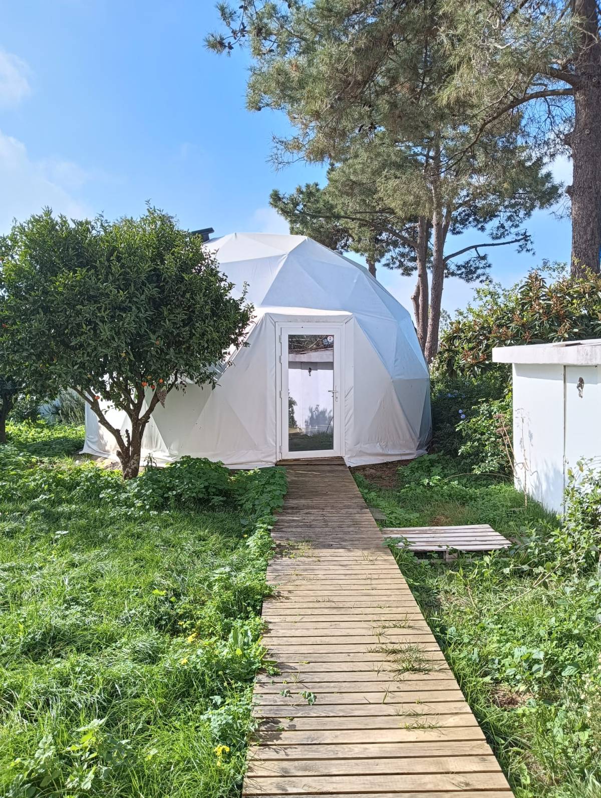 Yoga Dome Healing Hub - Setúbal - Yoga