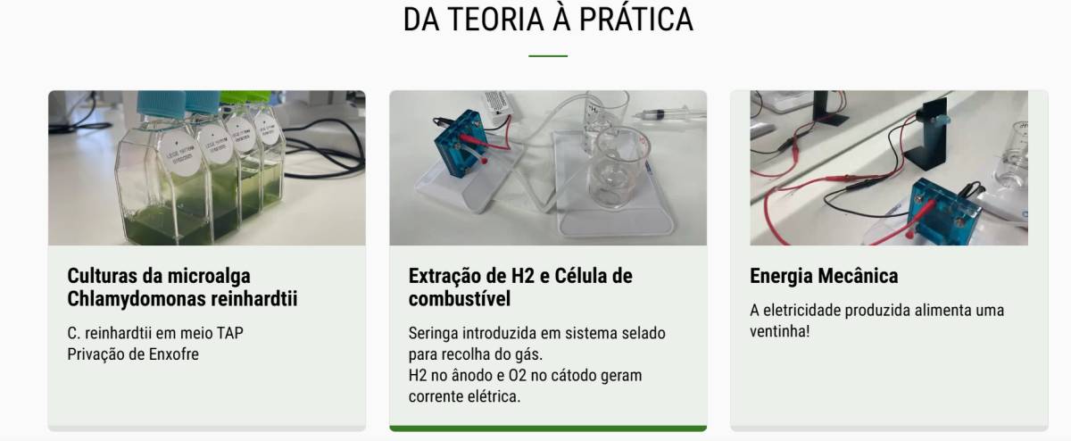 vertex studio - Valongo - Webhosting