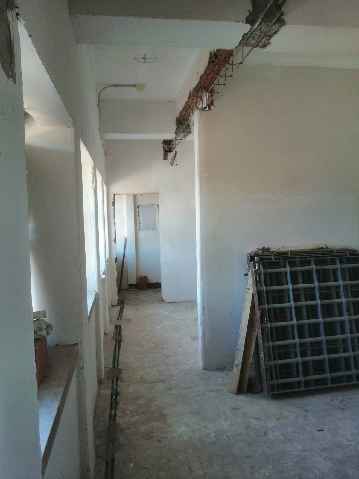 EloCriativo - Setúbal - Plantação de Árvores