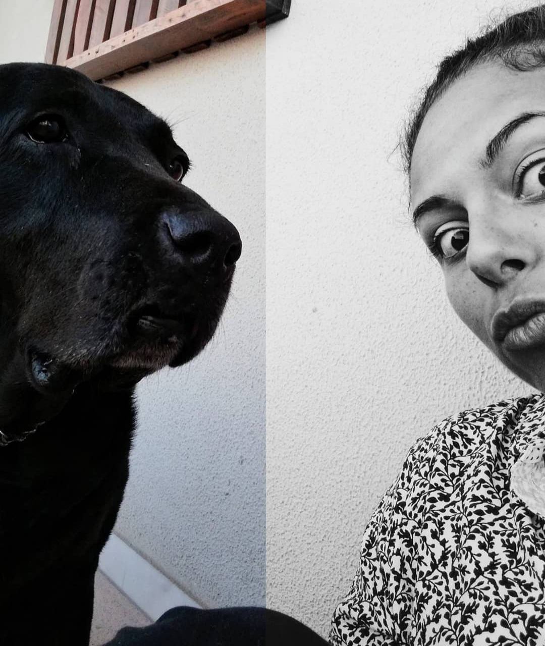Raquel Costa - Almada - Dog Walking