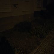 Luis miguel - Leiria - Exterior Painting