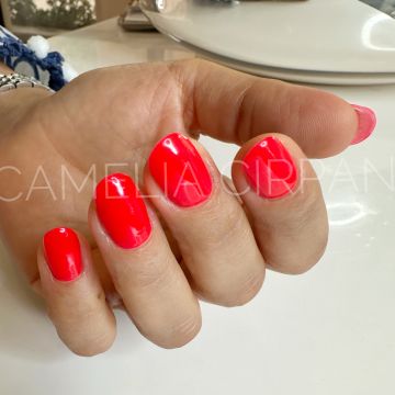 Cami Cirpan - Cascais - Beauticians