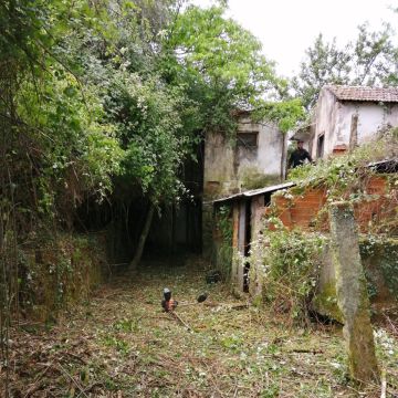 Quinta do FOIJO. Miguel Oliveira - Viseu - Entfernung von Gebüsch- und Baumaufwuchs