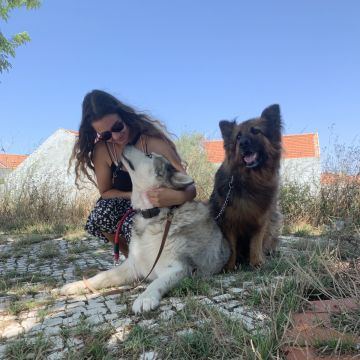 Yourfavoritepetsitter - Almada - Pet Sitting