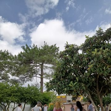 Yoga Dome Healing Hub - Setúbal - Meditation Instruction