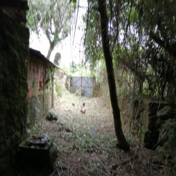 Quinta do FOIJO. Miguel Oliveira - Viseu - Automatisches Bewässerungssystem warten