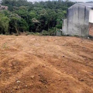 Daniel Silva Ferreira - Vila Nova de Gaia - Eliminación de arbustos
