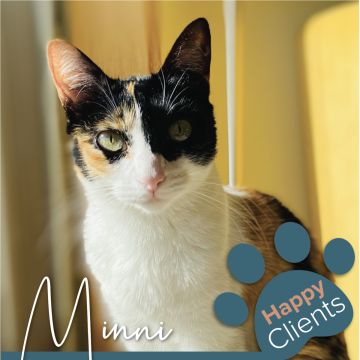 Cristina The Cat Nanny - Vila Nova de Gaia - Cuidar tus mascotas