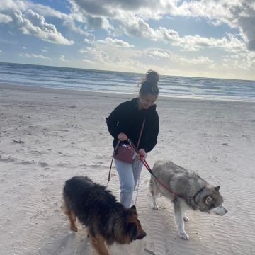 Yourfavoritepetsitter - Almada - Dog Sitting