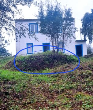 Jardinagem