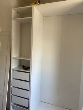 NewForce - Braga - Remoção de Tronco de Árvore