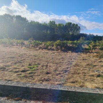 Quinta do FOIJO. Miguel Oliveira - Viseu - Gelände planieren (Großflächig)