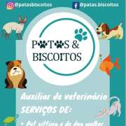 Patas&biscoitos - Tomar - Treino de Cães - Aulas