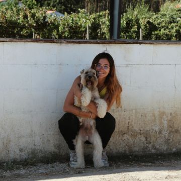 Mariana Santos - Vila Franca de Xira - Dog Walking