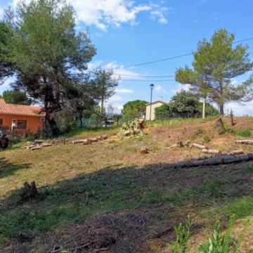 Jardins Limpos - Águeda - Baumpflege