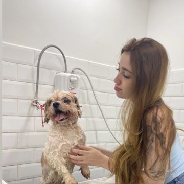 Com carinho, Jack - Almada - Dog Hotel