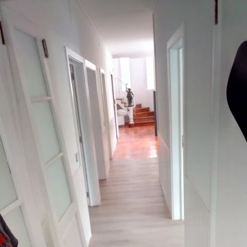 EloCriativo - Setúbal - Remoção de Tronco de Árvore