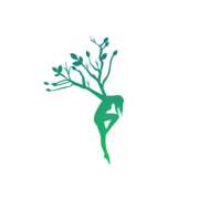 Mayassagens - Caldas da Rainha - Instrutores de Meditação