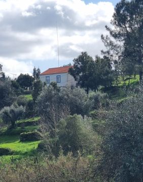 Serviço de Jardinagem