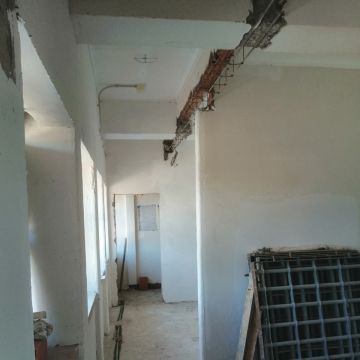 EloCriativo - Setúbal - Plantação de Árvores