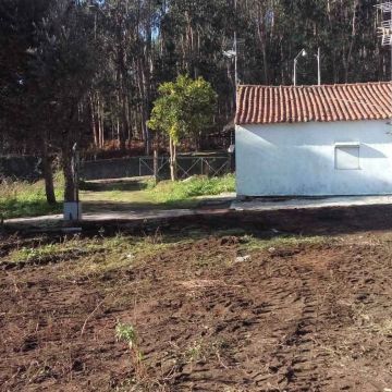 Joaquim Monteiro - Barcelos - Stein- oder Fliesenboden verlegen