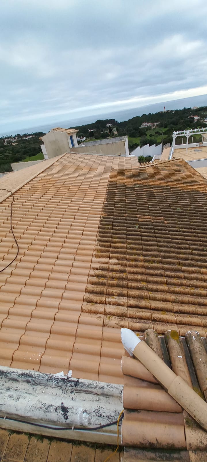 Dener Dionor Windows Cleaning - Lagoa - Mold Inspection and Removal
