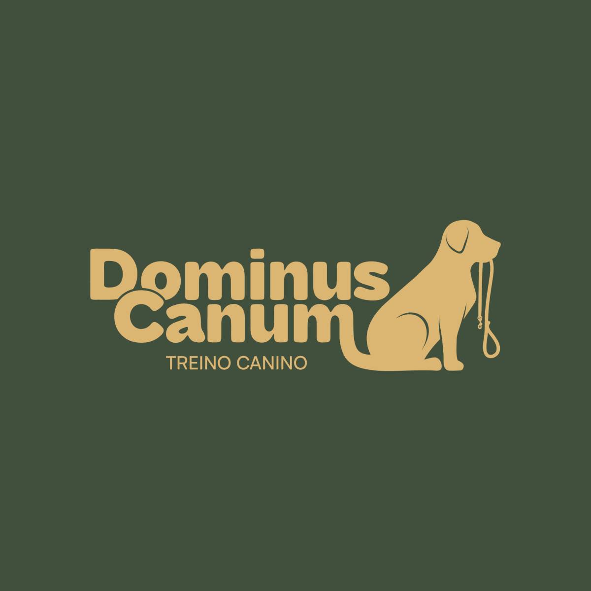 Dominus Canum - Seixal - Cat Sitting