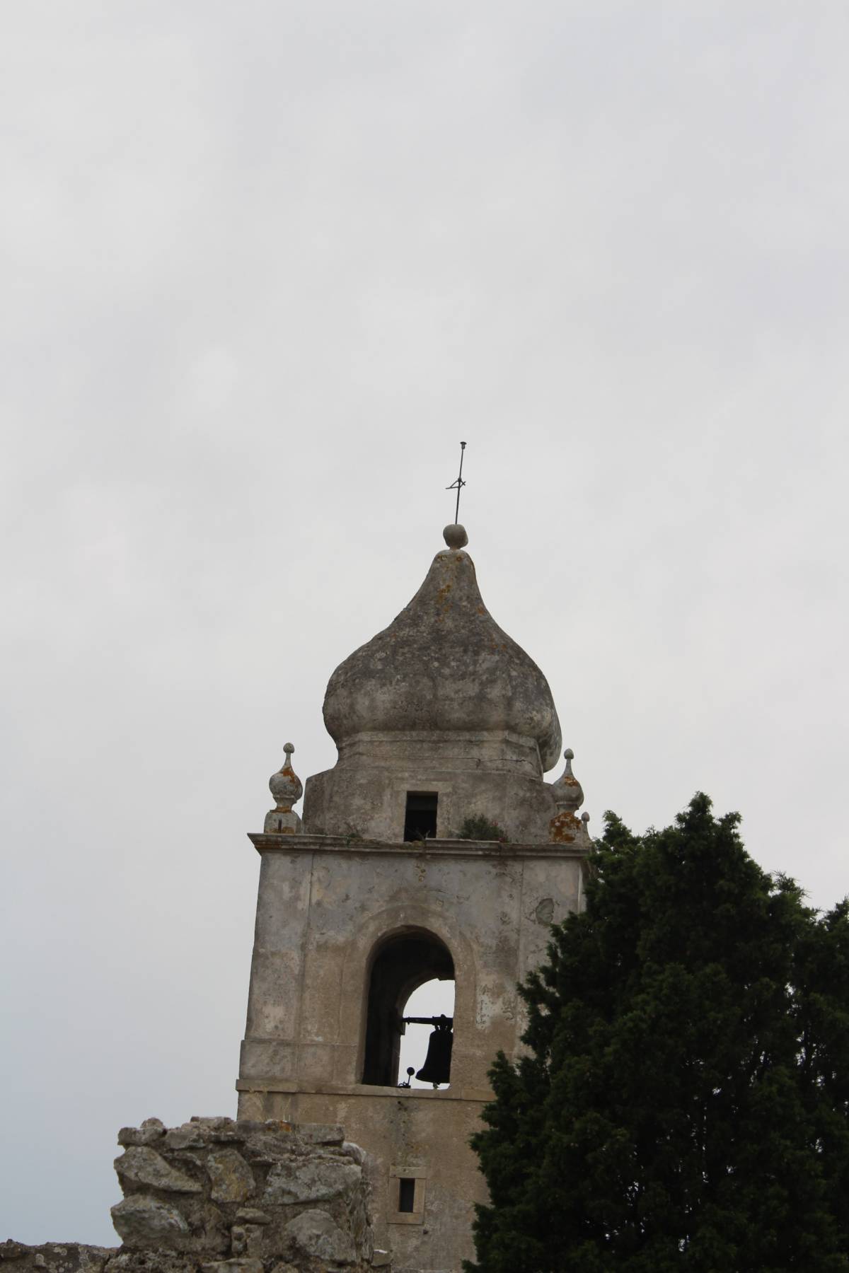 Alexandre Simões Fotografia - Leiria - Fotografia de Animais de Estimação