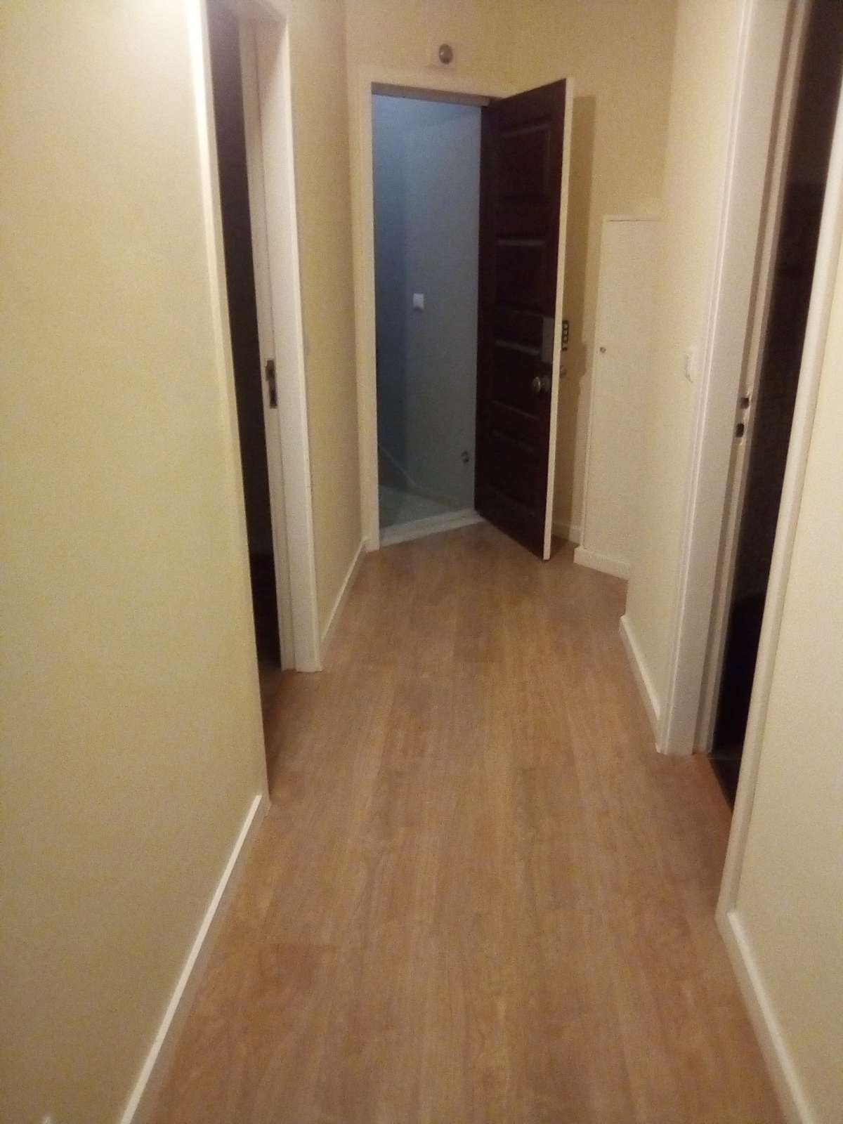 Moisés Lopes - Porto - Flooring